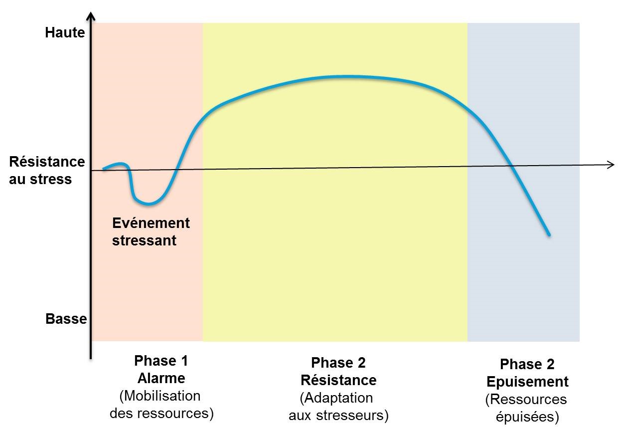 Les phases du burnout